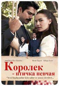 Королек - птичка певчая / Calikusu